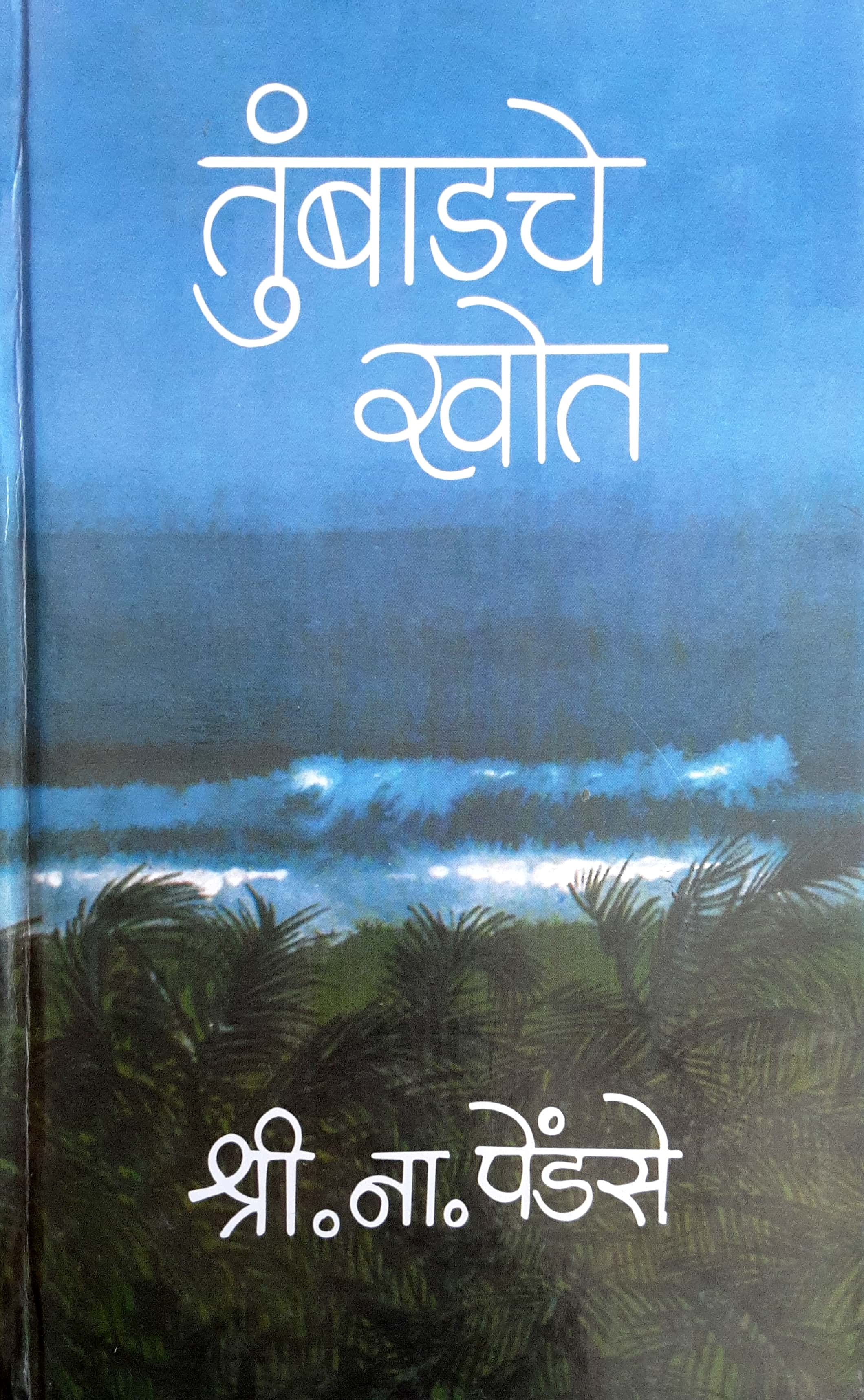 Tumbadche khot - Khand Pahila ( तुंबाडचे खोत - खंड पहिला ) - Image 1